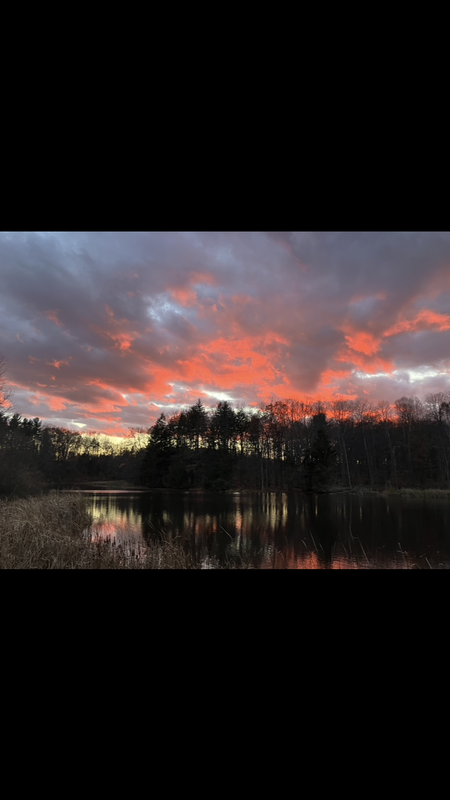 Entry image for Quiet moments . Clicking this image will show a larger photo