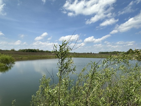 Entry image for Solace . Clicking this image will show a larger photo
