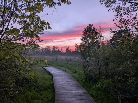 Entry image for Sunset Hike. Clicking this image will show a larger photo