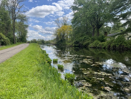 Entry image for Reflections on the Trail near Summit Lake. Clicking this image will show a larger photo