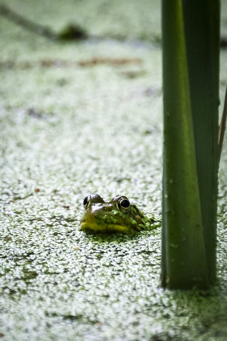 Entry image for Alone. Clicking this image will show a larger photo