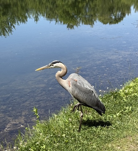 Entry image for Balancing Act. Clicking this image will show a larger photo