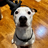 Entry image for Lilah