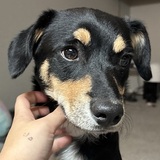 Entry image for River 