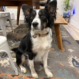 Entry image for Friday