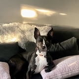 Entry image for Nova