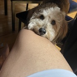 Entry image for Chai