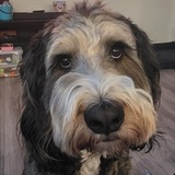 Entry image for Copper