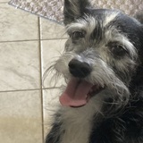 Entry image for Stixx