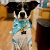 Entry image for Beast