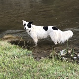 Entry image for Roxy