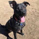 Entry image for Tucker