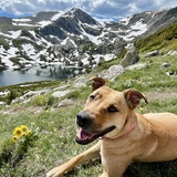 Entry image for Maya 