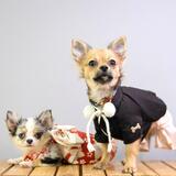 Entry image for Yumi and Mochi