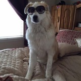 Entry image for Lanikai