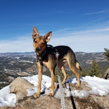 Entry image for Atlas