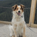 Entry image for Ezra