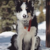 Entry image for Alto
