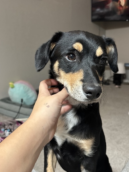 Entry image for River . Clicking this image will show a larger photo