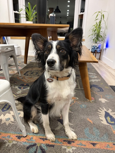 Entry image for Friday. Clicking this image will show a larger photo