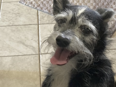 Entry image for Stixx. Clicking this image will show a larger photo