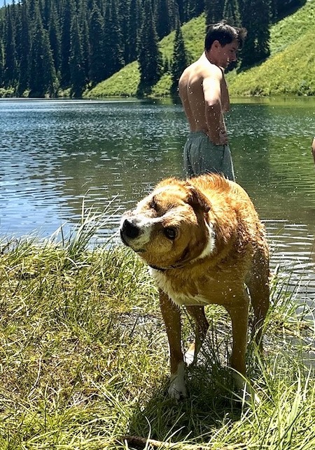 Entry image for Mavis. Clicking this image will show a larger photo