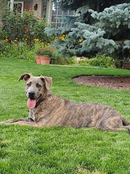 Entry image for Tequila. Clicking this image will show a larger photo