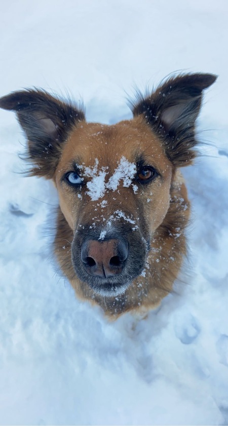 Entry image for Odin. Clicking this image will show a larger photo