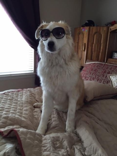 Entry image for Lanikai. Clicking this image will show a larger photo