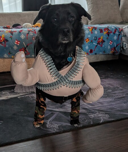 Entry image for Tula. Clicking this image will show a larger photo