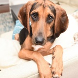 Entry image for Mabel