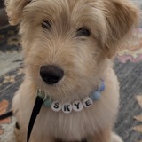 Entry image for Skye