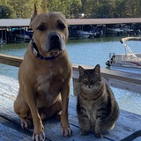 Entry image for Tucker & Frieda