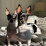 Entry image for  Benny and Eleanor