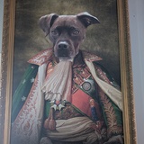 Entry image for Dempsey 