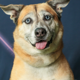 Entry image for Maddie