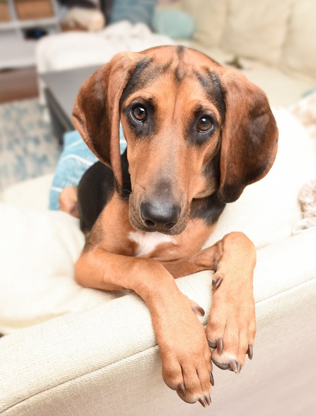 Entry image for Mabel. Clicking this image will show a larger photo