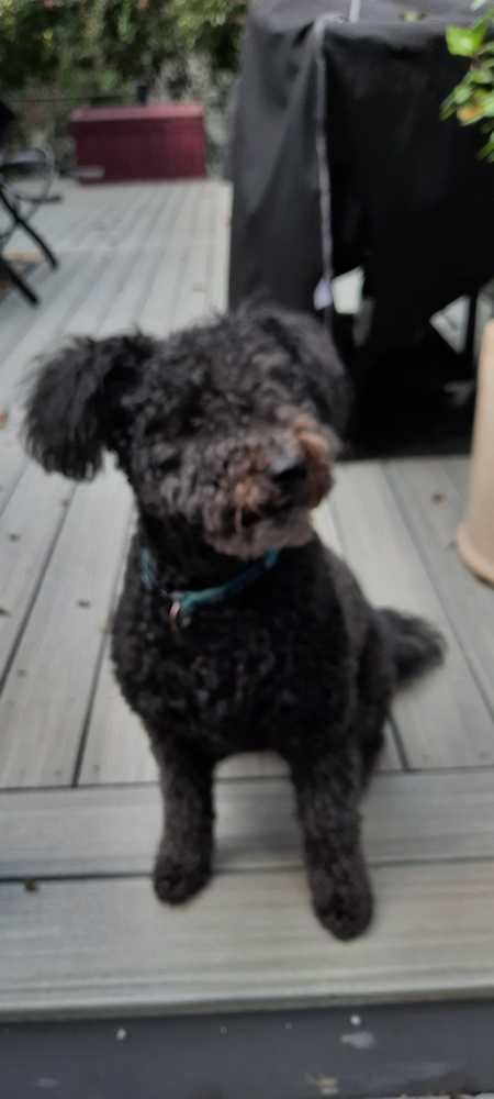 Entry image for Radar. Clicking this image will show a larger photo