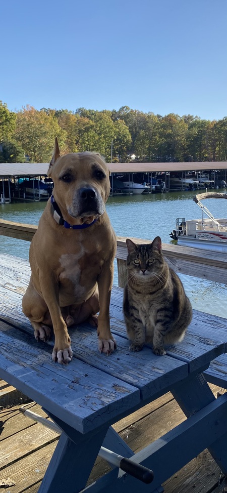 Entry image for Tucker & Frieda. Clicking this image will show a larger photo