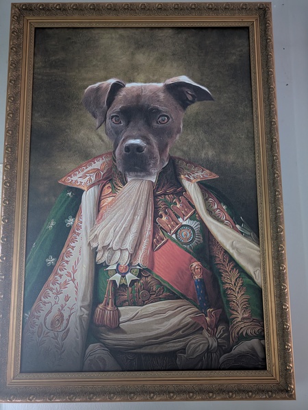Entry image for Dempsey . Clicking this image will show a larger photo