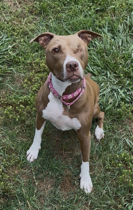 Entry image for Penny. Clicking this image will show a larger photo