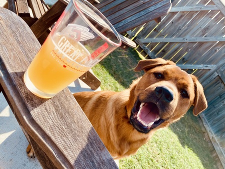Entry image for Brew. Clicking this image will show a larger photo