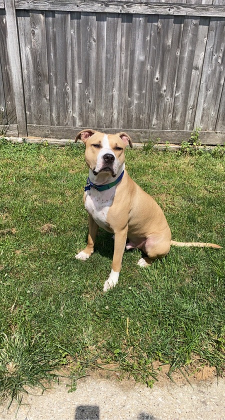 Entry image for Reggie. Clicking this image will show a larger photo