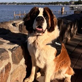 Entry image for Winston
