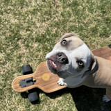 Entry image for Mabel