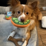 Entry image for Tito
