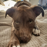 Entry image for Ani