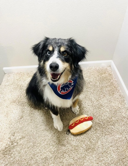 Entry image for Wrigley . Clicking this image will show a larger photo