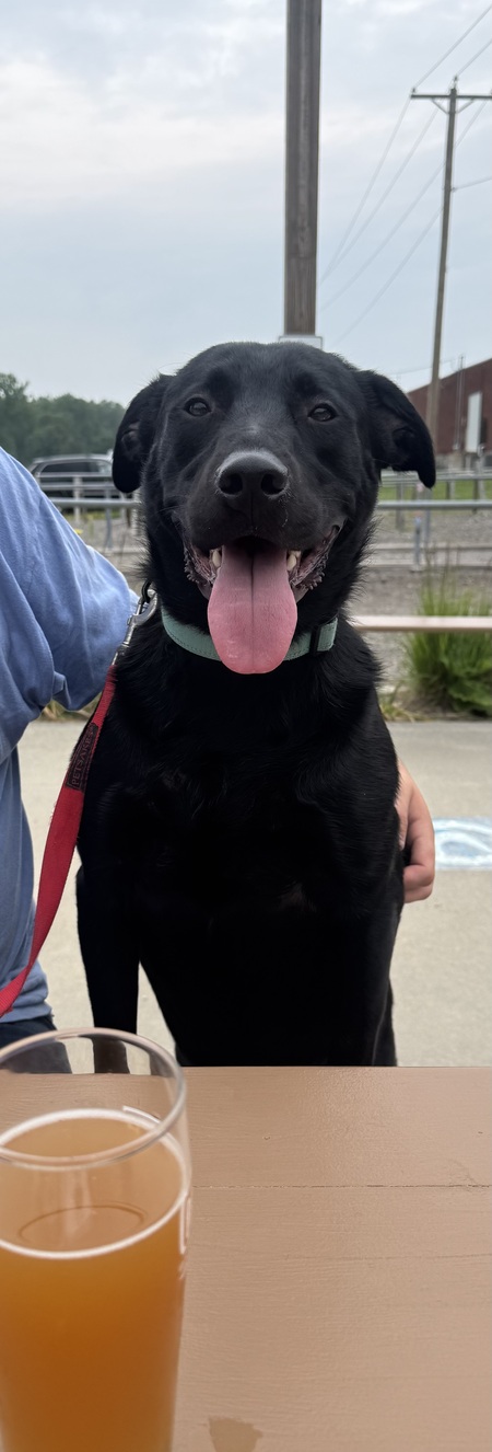 Entry image for Akamaru (nickname Ru). Clicking this image will show a larger photo