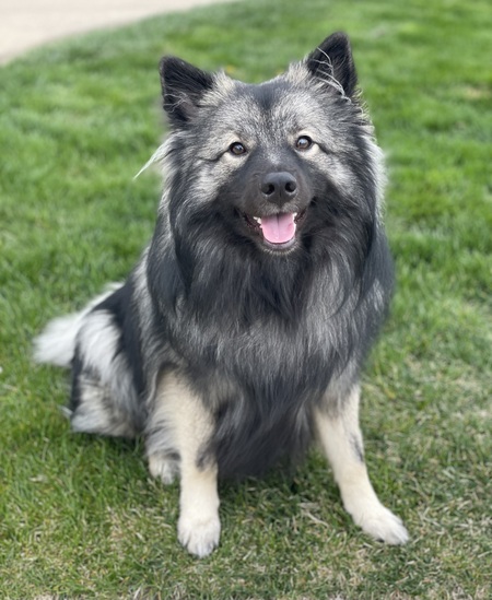 Entry image for Koga . Clicking this image will show a larger photo